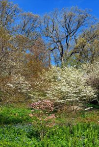 New York - Bronx - Botanic Garden